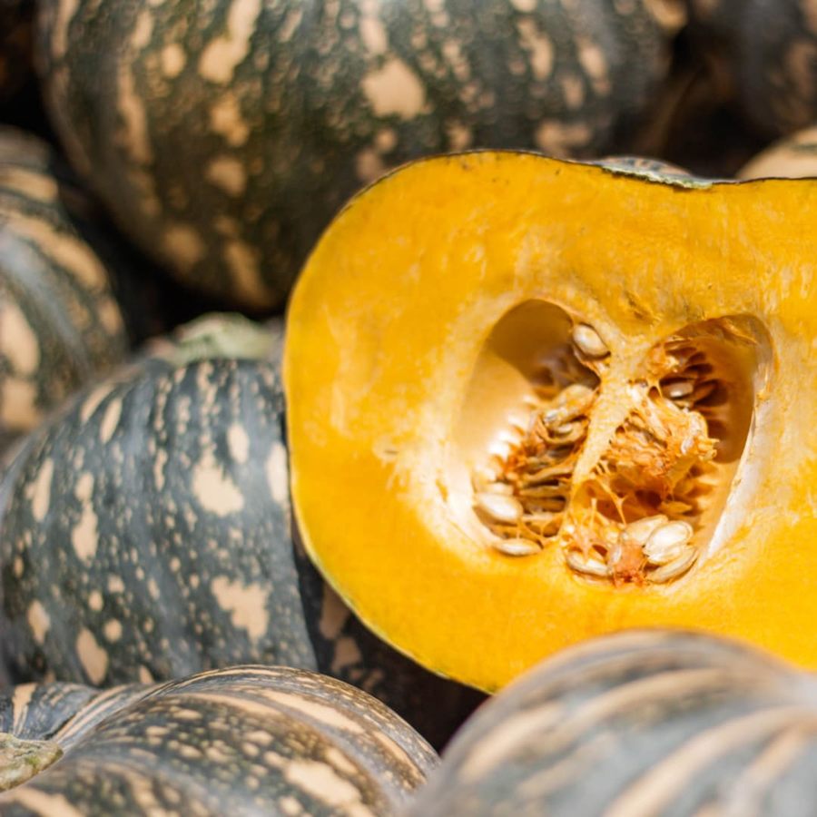 A Japanese/Kent pumpkin cut in half showing its orange flesh, among whole pumpkins