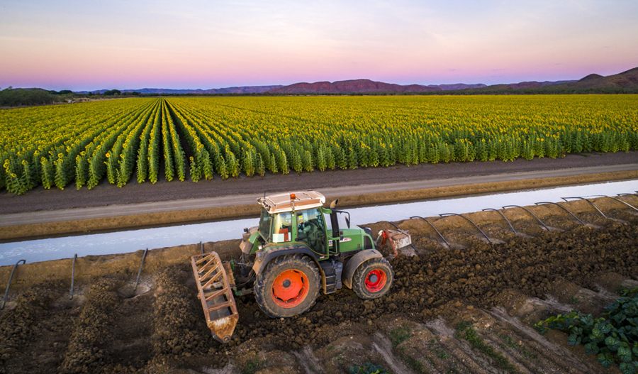 Aerial view of a tractor working beside an irrigation channel next to a sunflower crop at dusk