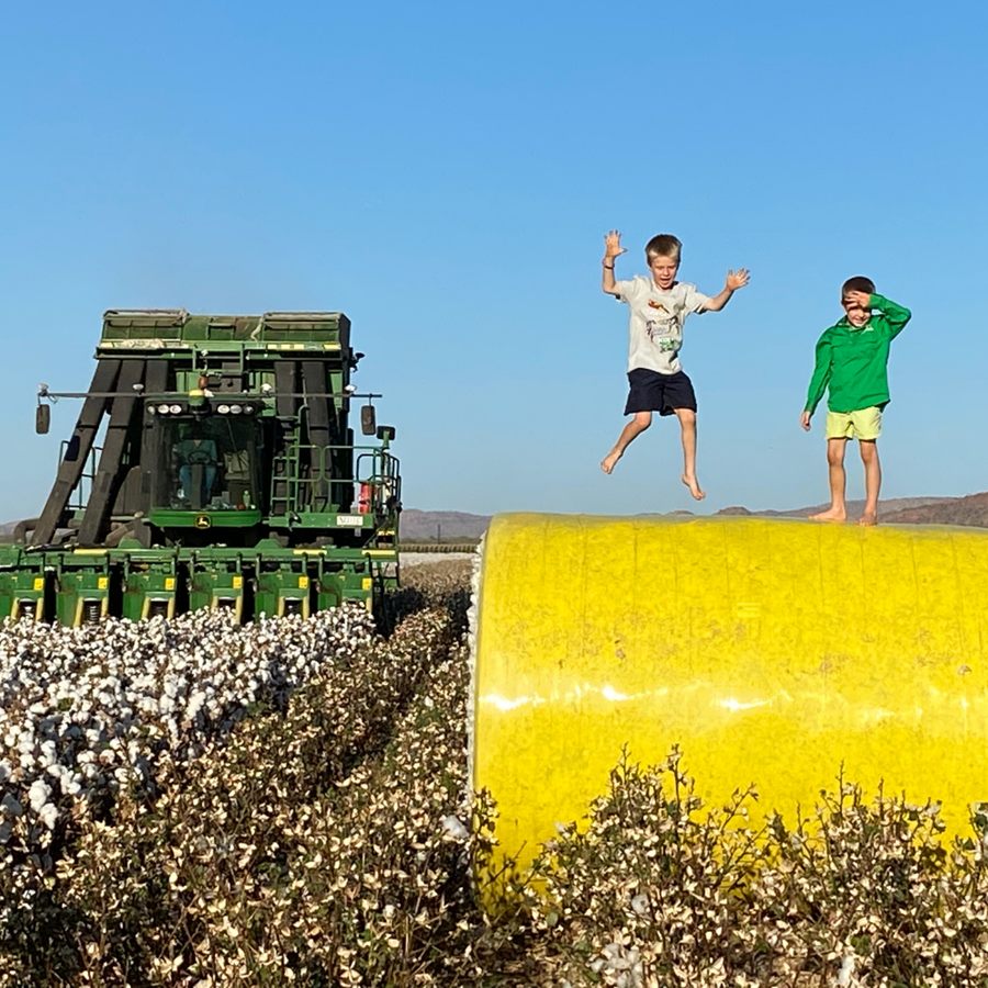 Two boys jumping on a round cotton module wrapped in yellow film, beside a cotton picker in the field