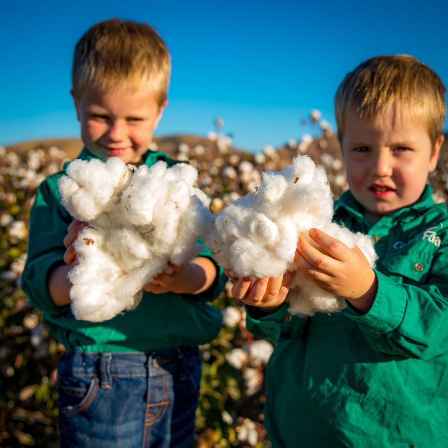 Two young boys in Ceres Farm shirts holding handfuls of freshly picked cotton in the crop