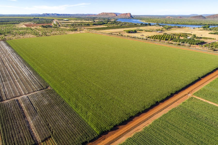 Aerial view of irrigated crops at Ceres Farm with the Ord River and the Kimberley ranges in the distance