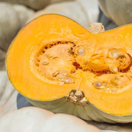 A grey pumpkin cut open showing its golden yellow flesh and seeds