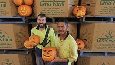 Two Ceres Farm workers holding carved jack-o-lantern pumpkins in front of stacked Ceres Farm cartons