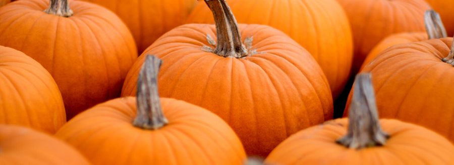 Bright orange Halloween pumpkins