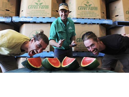 Three men posing with slices of watermelon in front of stacked Ceres Farm cartons