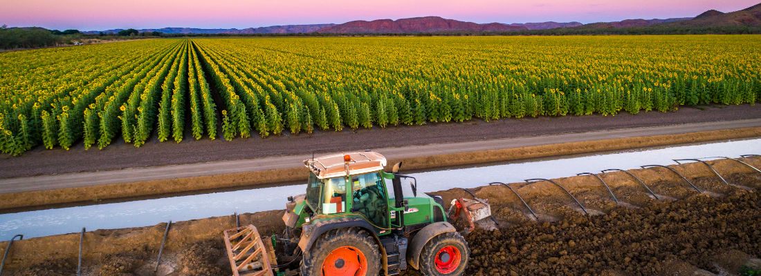 Aerial view of a tractor working beside an irrigation channel next to a sunflower crop at dusk