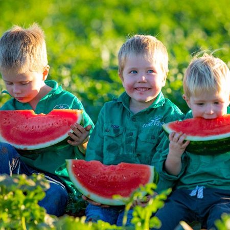 Three young boys in Ceres Farm shirts eating slices of watermelon in a melon field